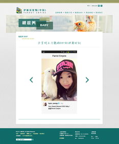 寵物用品網(wǎng)站設(shè)計(jì) 打造貼心便捷的在線購物體驗(yàn)